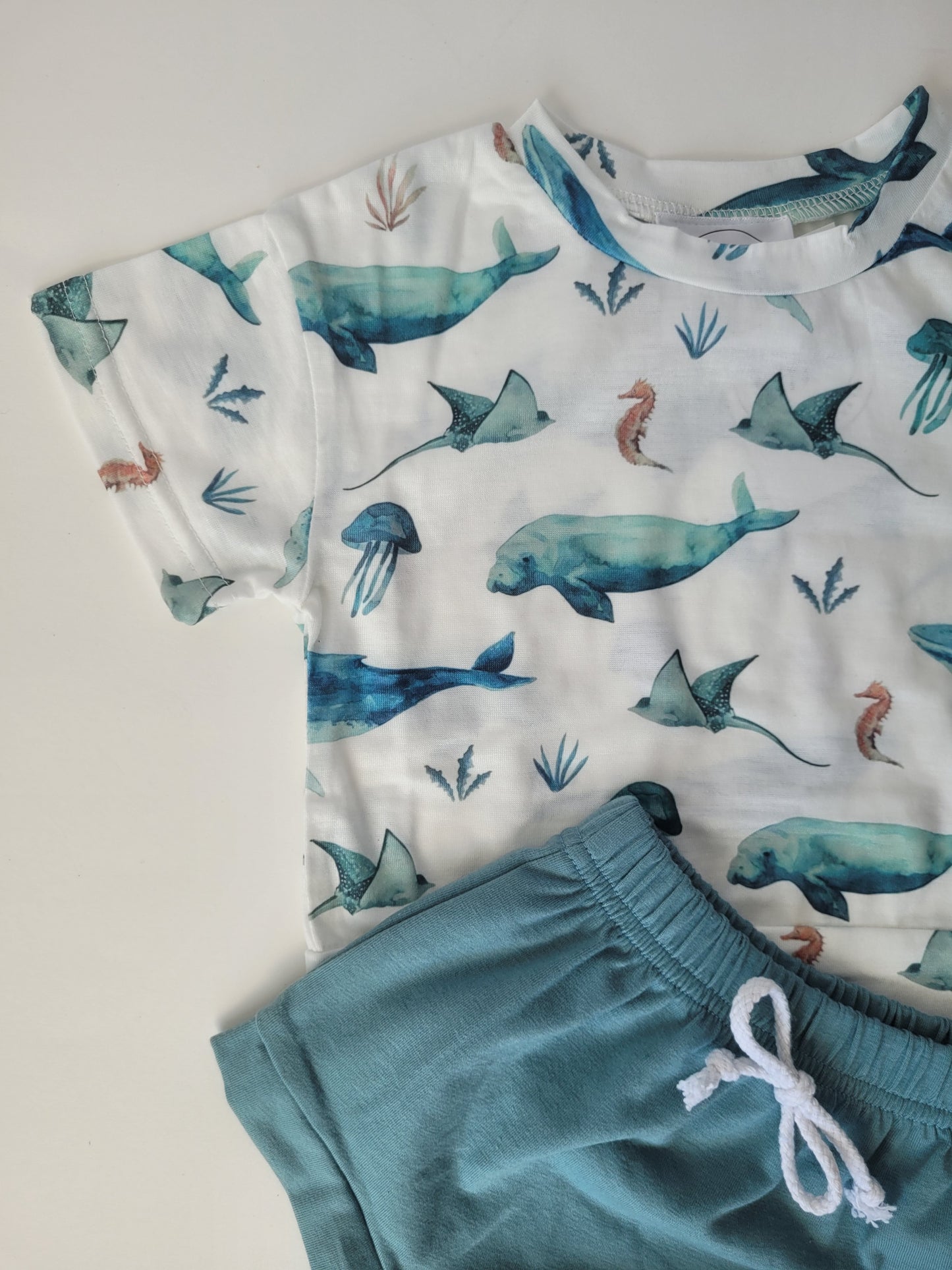 Sea animals set