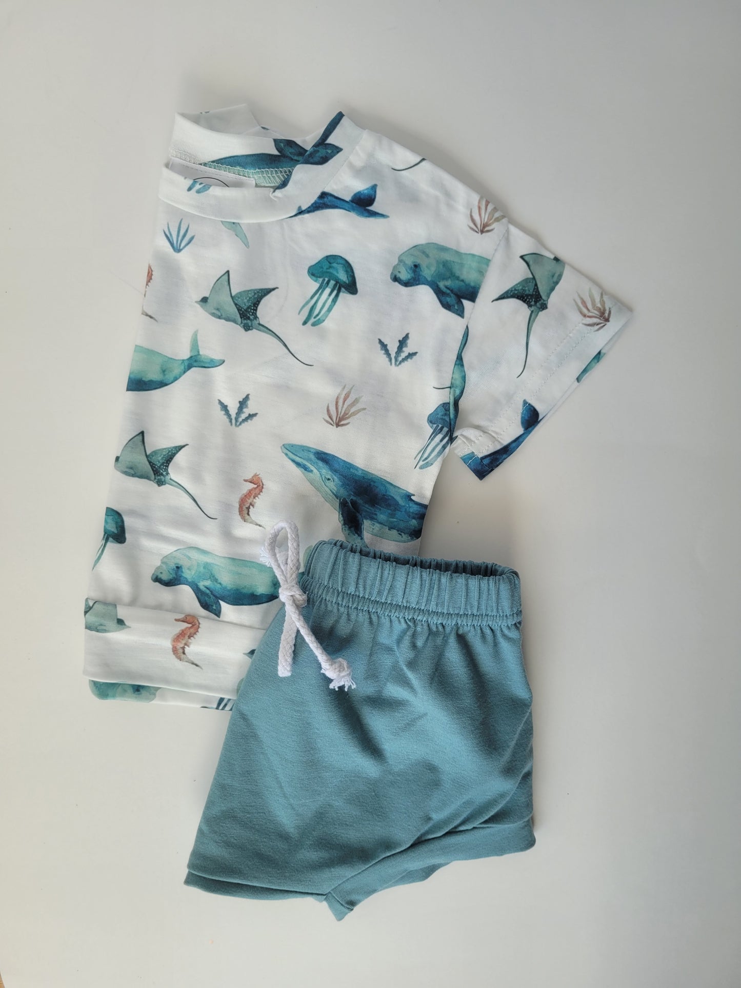 Sea animals set