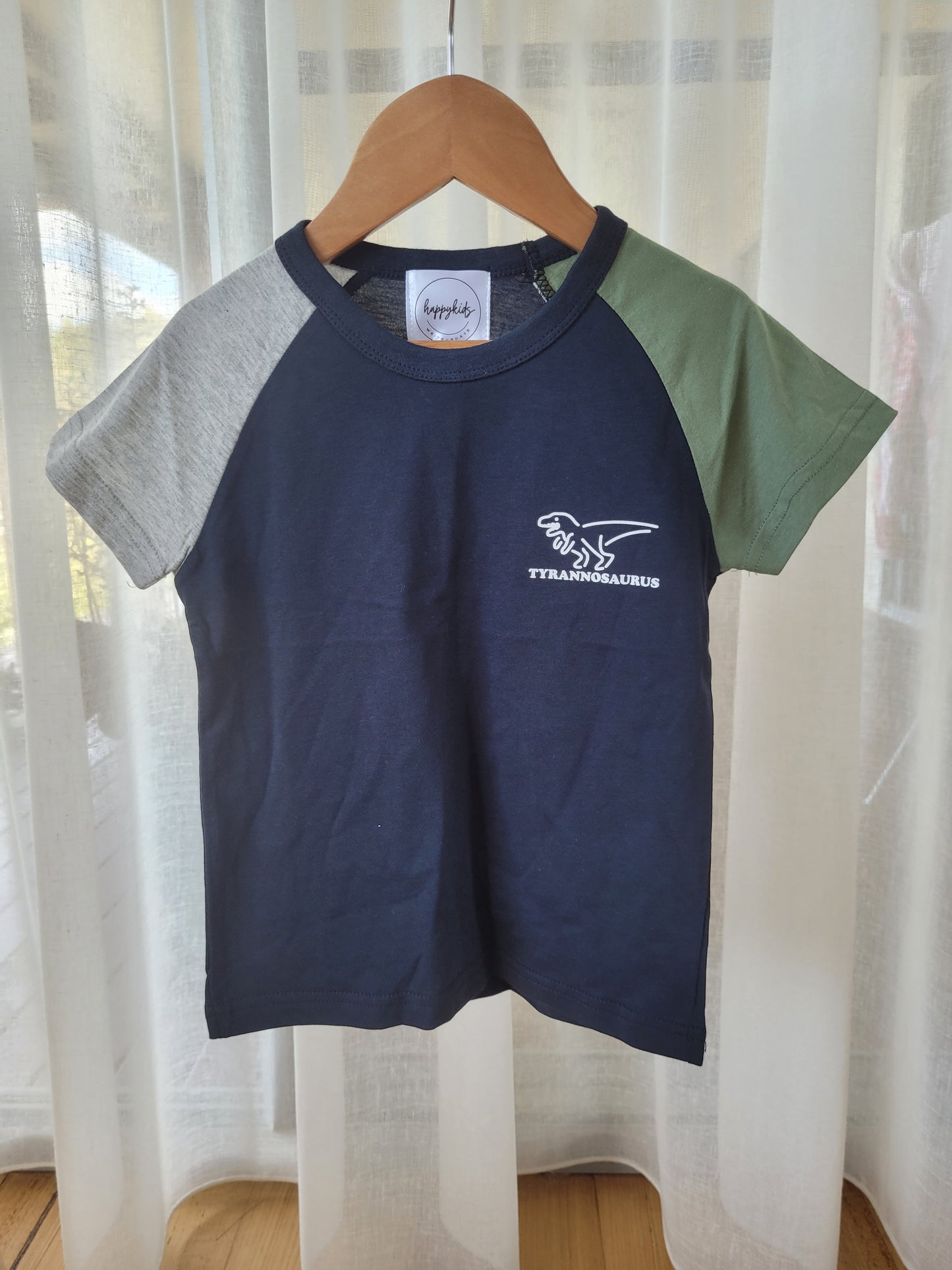 Dinosaur t-shirt colour block