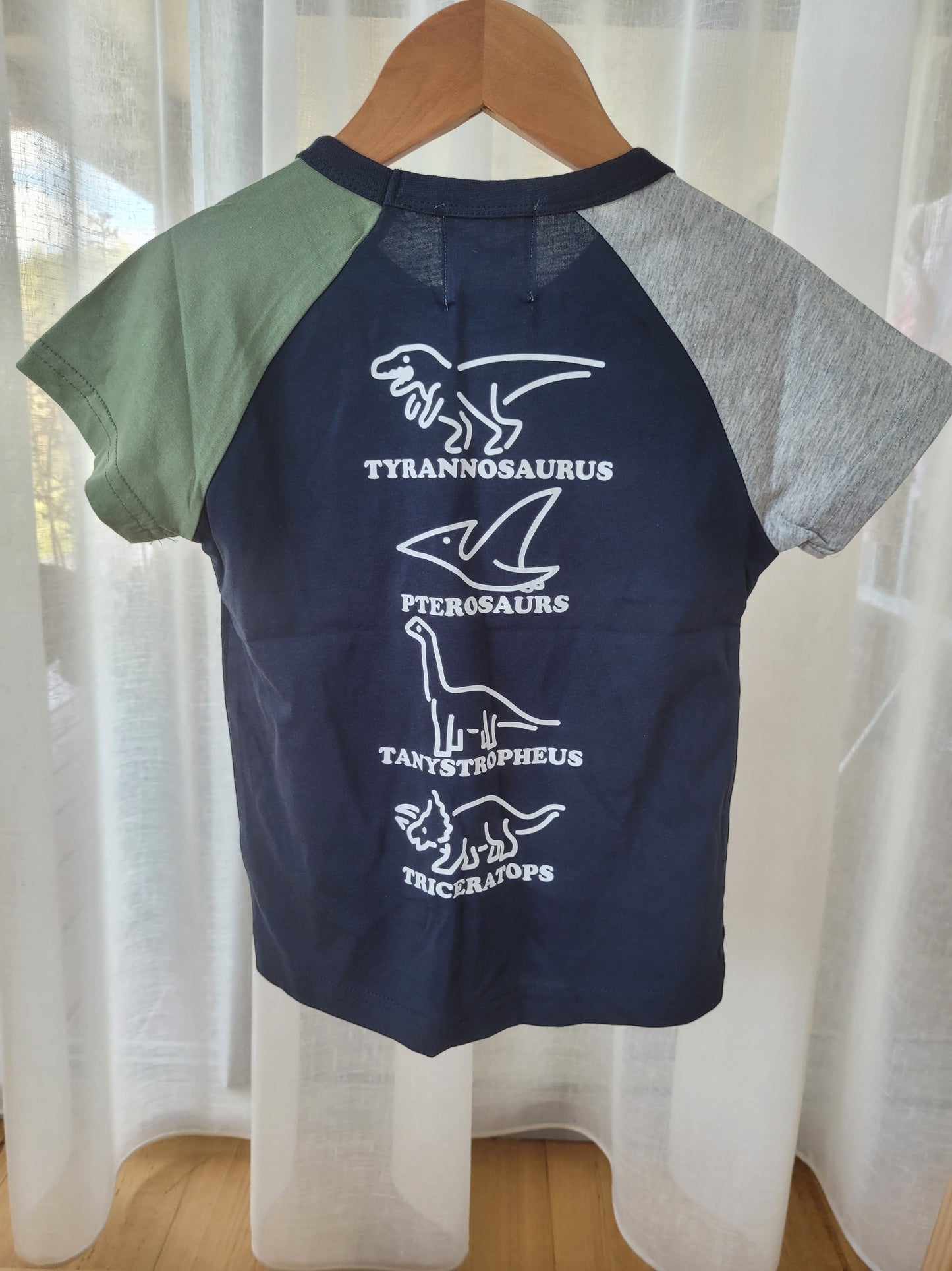 Dinosaur t-shirt colour block