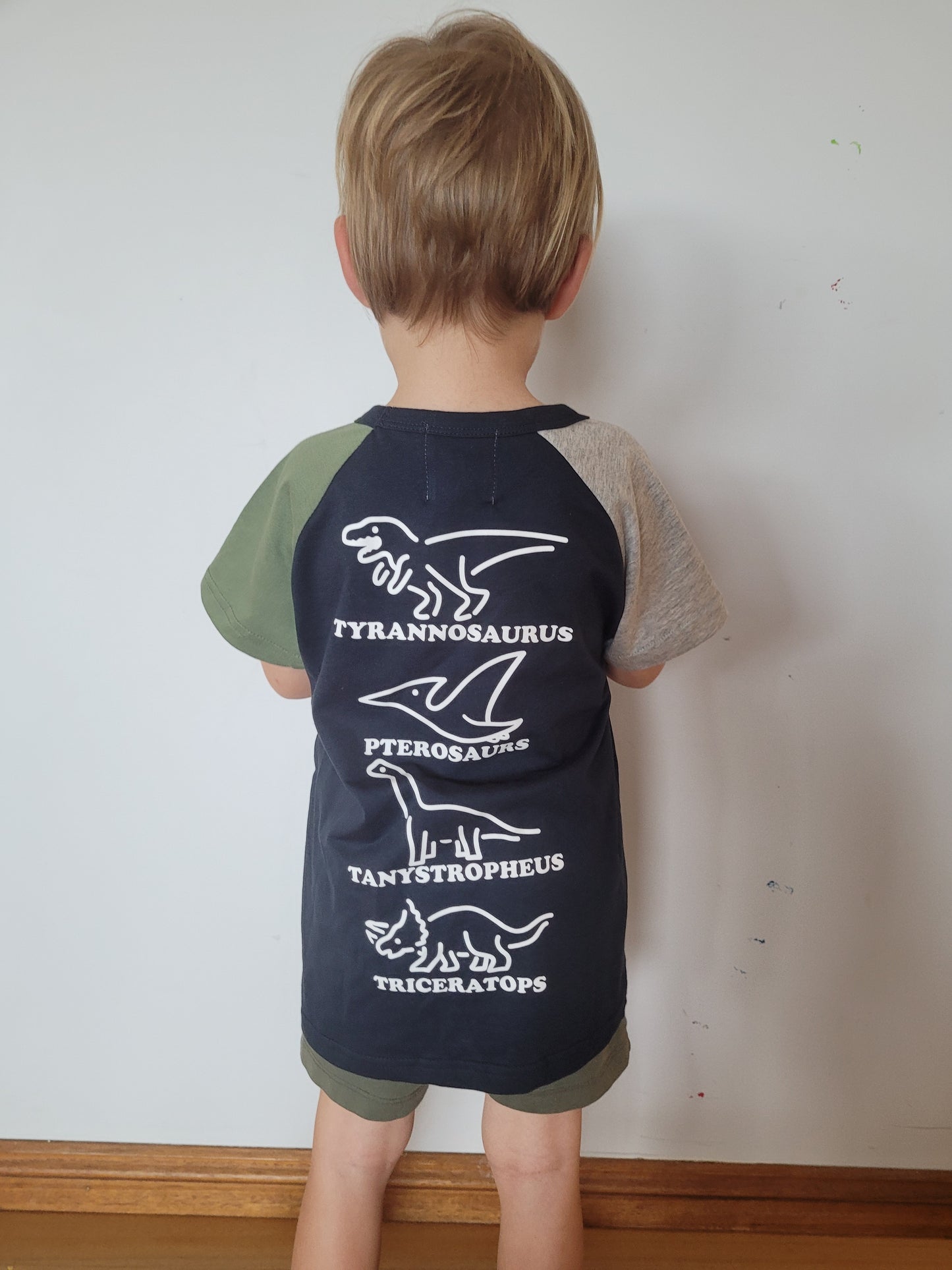 Dinosaur t-shirt colour block