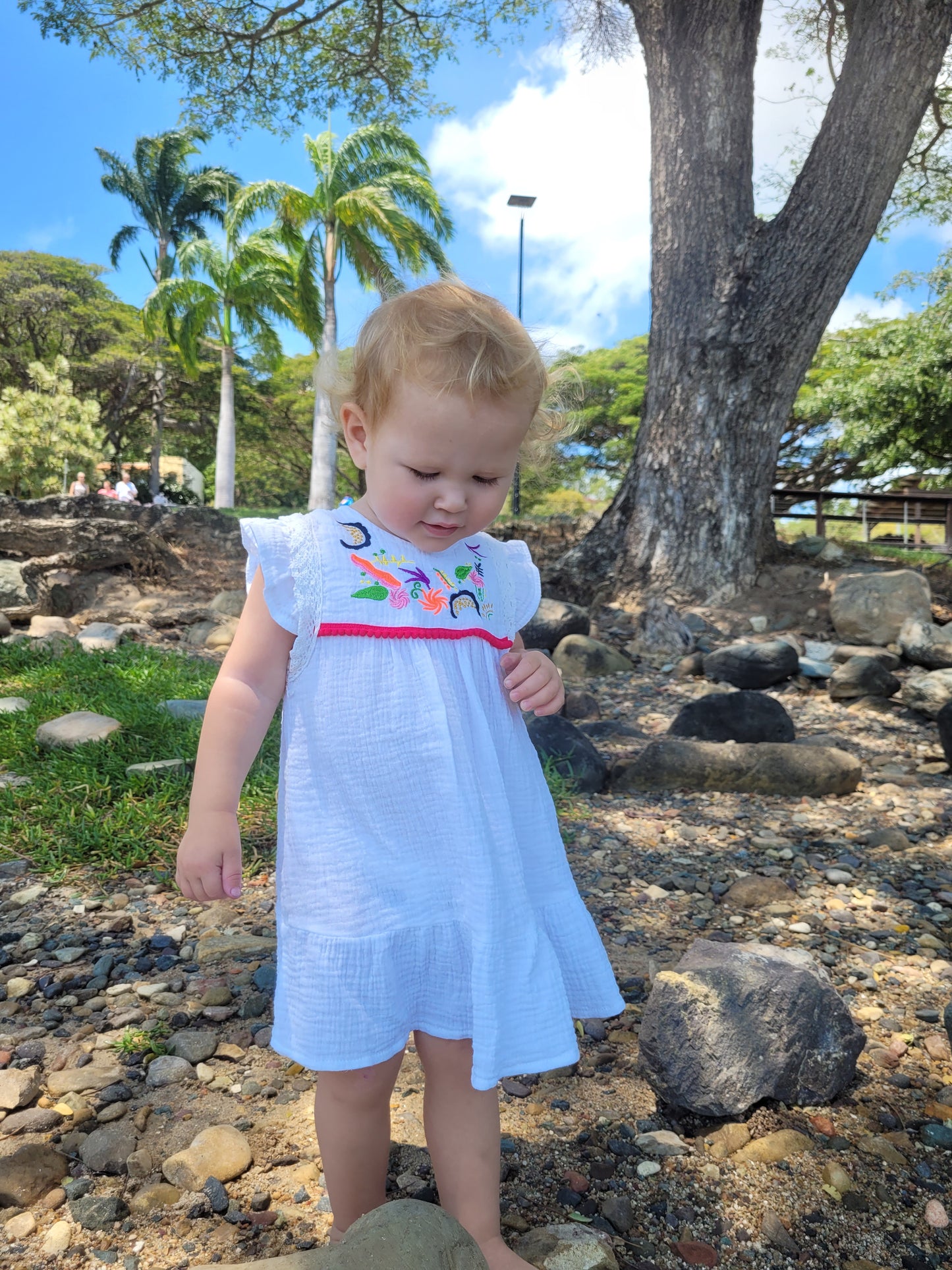 Embroidered summer dress