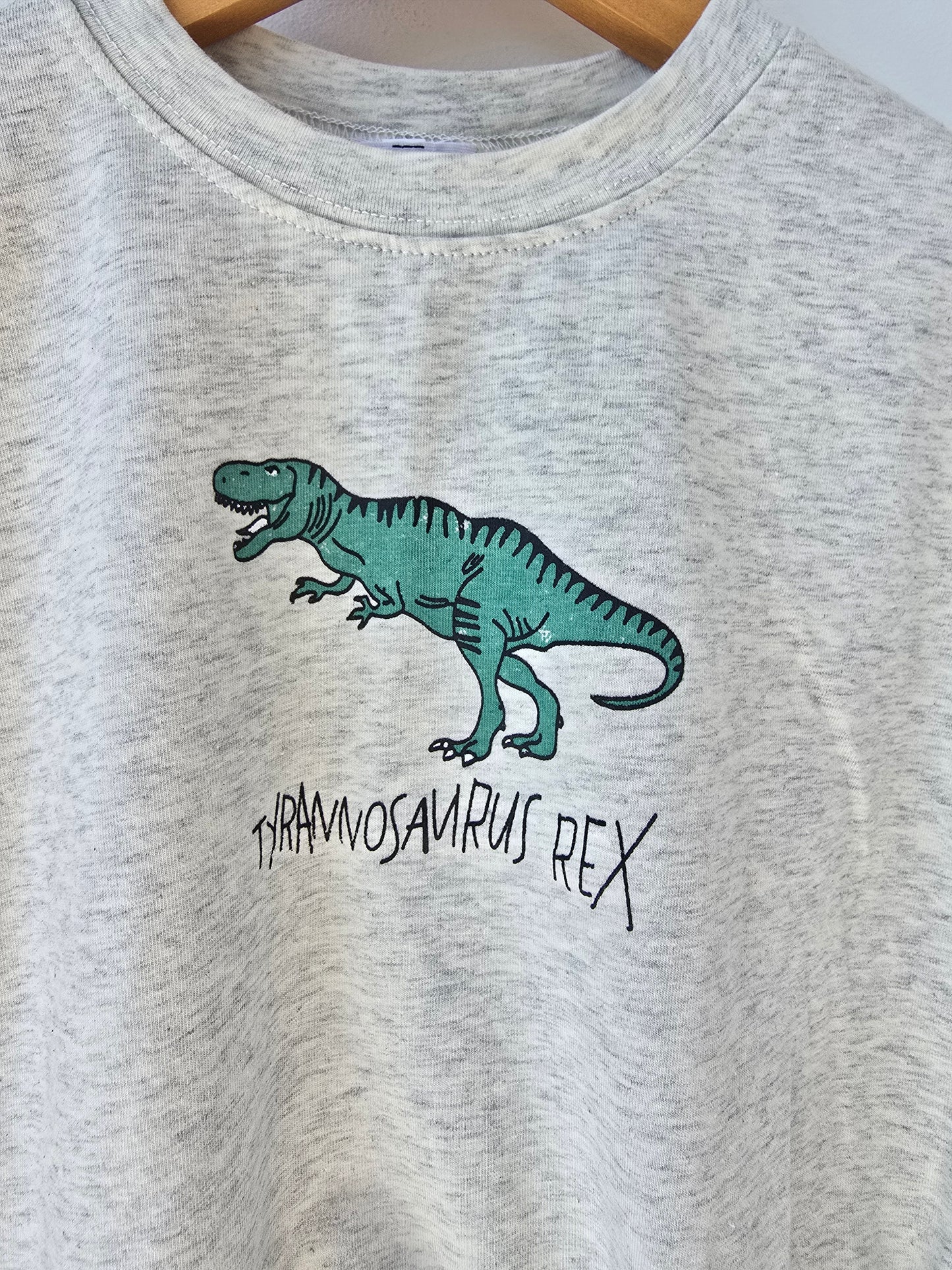 Grey TYRANNOSAURUS romper