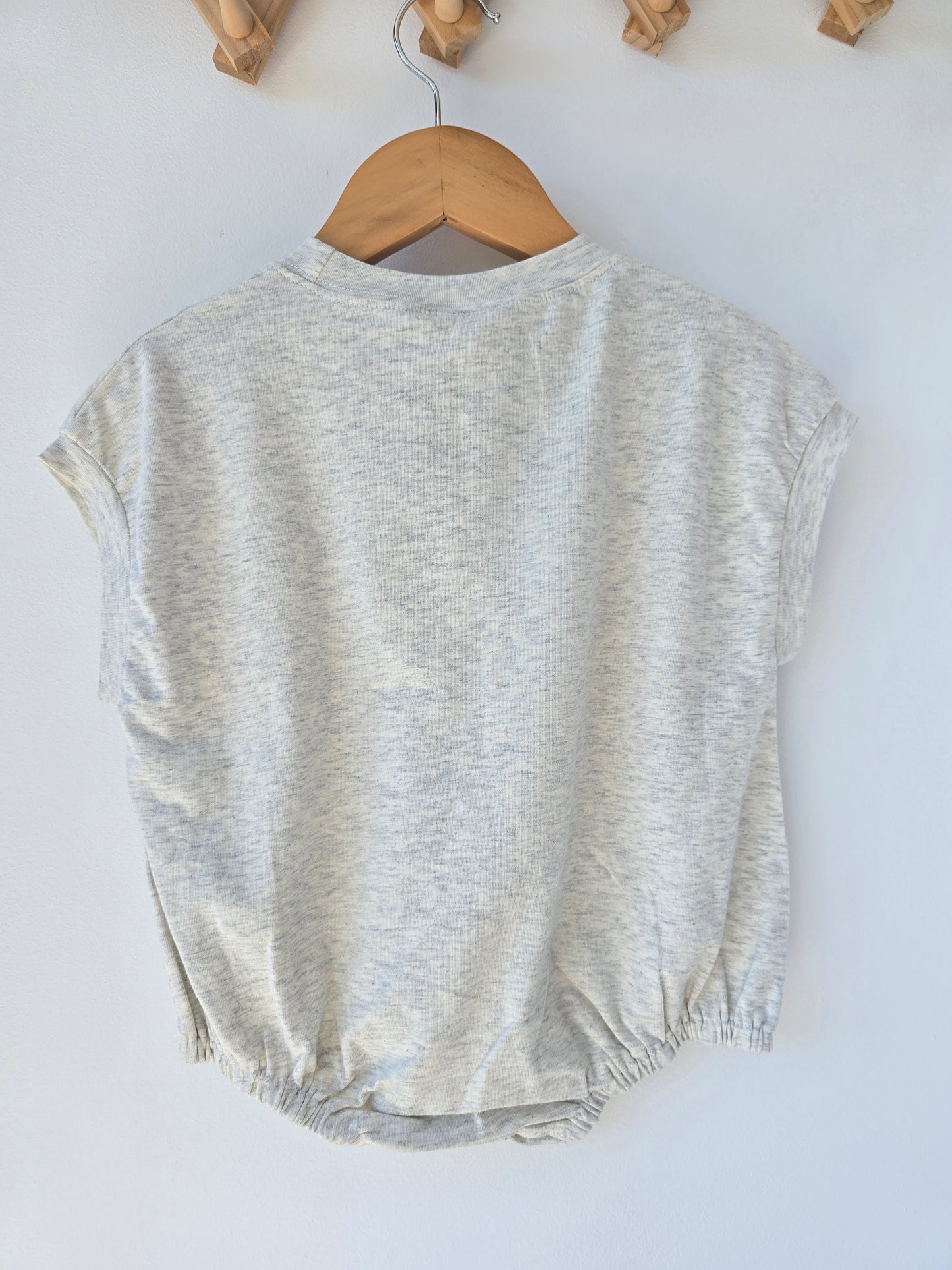 Grey TYRANNOSAURUS romper