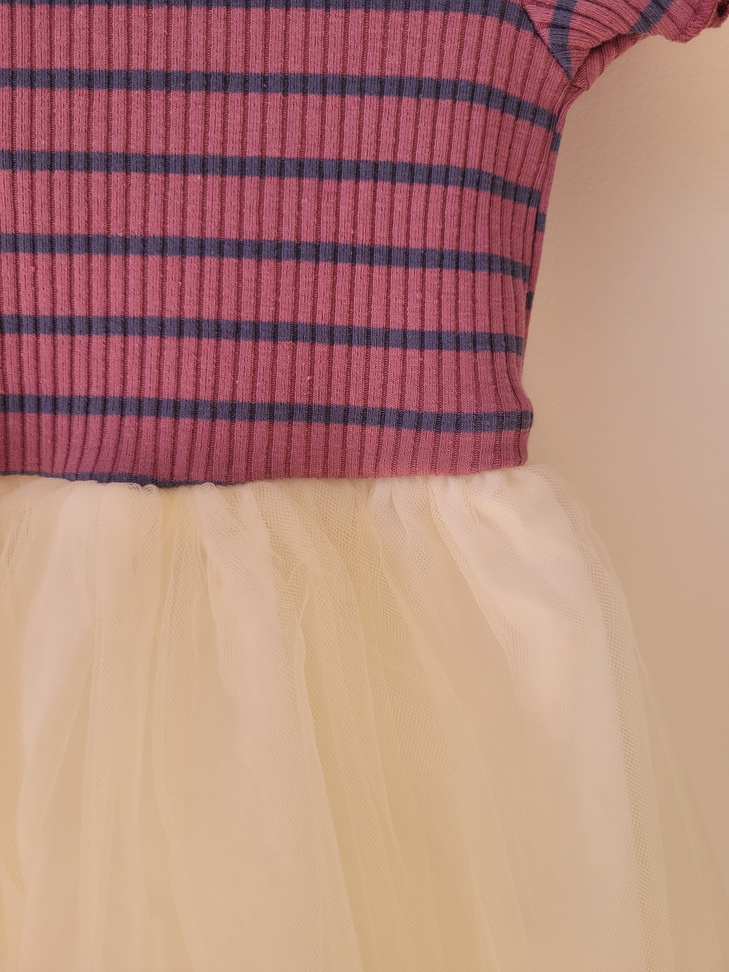 Berry stripes tulle dress